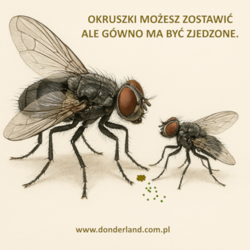 okruszki